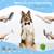 Dog Grooming Vacuum, Pet Grooming Vacuum Kit 2.3L Suction 99% Pet Hair 7 thumbnail