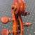 Egnlehardt 1/2-size Cello w/Cover and Bow 4 thumbnail