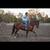CLT Colt Starting And Training 3 thumbnail