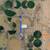 2.22 Ac with Well and 2AF H20 for sale 17 thumbnail