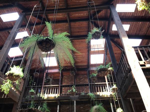 $1,100 / 1br - 750ft2 - ¡¡¡¡APARTAMENTOS GREENHOUSE!!!! (METAIRIE, LA.)63791993256963124