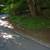 Two Acres- Prime Real Estate Property with Ranch style house 7 thumbnail