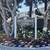 Spacious 2 bed 2 bath 2 car garage pool/jacuzzi 1 thumbnail