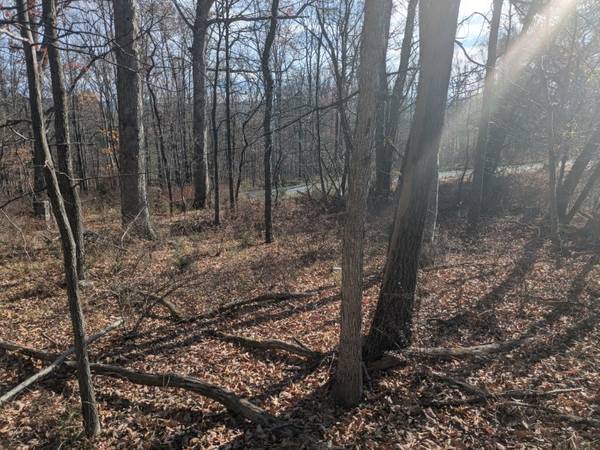 $16,000 0.6 AC of Trees UNRESTRICTED (Largent)63953076024450124