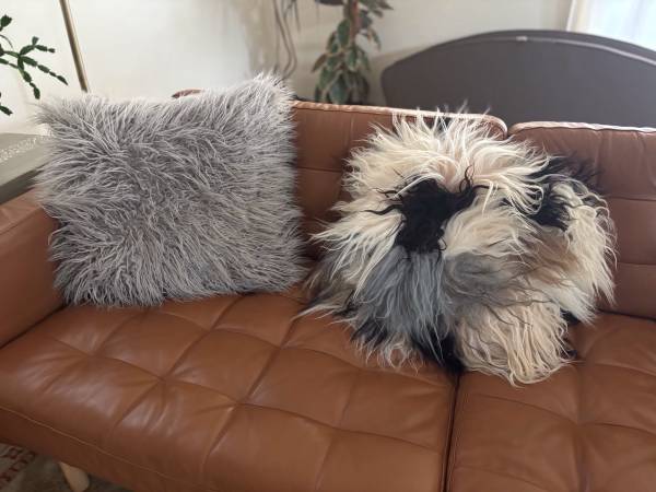 Fluffy decorative pillows 1