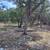 medina lake 1 thumbnail