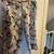 Pink camo Ladies size 17 Crop Pants New w/ tags 1 thumbnail