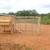 Custom-Built Chicken Coops & Sheds 6 thumbnail