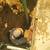 SEWER & WATER LINE REPAIR &INSTALLATION 17 thumbnail