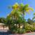 YOUR NEW HOME IS READY.✨ BRIGHT & COZY✨✨🌴 2+2 Bedroom+Bath 19 thumbnail
