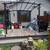 Pergola 3 thumbnail