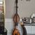 Palatino baby bass 1 thumbnail