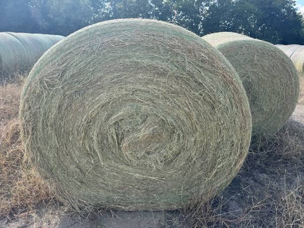 COASTAL/KR MIX ROUND BALES 1
