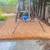 Yard service, Pruning bushes, pressure washing and much more!!! 4 thumbnail