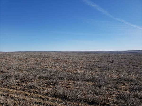 $165,900 154 Acres For Sale: near Waterville (Waterville WA)63654683435265121