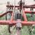 IH 5500 Chisel Plow 22 Shank 8 thumbnail