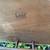 Lane Acclaim MCM Coffee Table 6 thumbnail