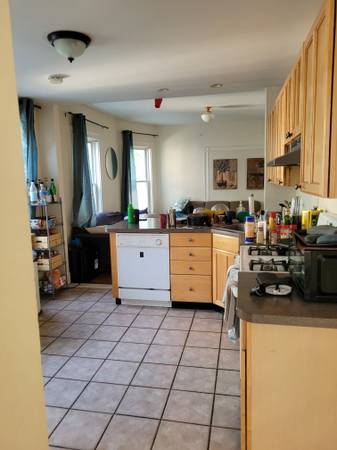 $1,250 / 1br - Davis Square 4 min. walk to T station (12 cutter ave.) No Broker Fees (Somerville)63699215530625124