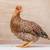 Hens chicken 1 thumbnail