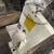 Mini Max S 45 vertical band saw made in ITALY 7 thumbnail