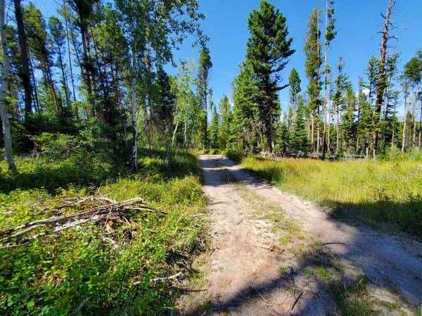 $65,000 / 43560ft2 - 1Acre off Grid lot Minutes from Lincoln off Dalton MtRd (Lincoln)63656975694209124