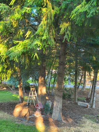 $2,250 / 2br - 2 BED 1 BATH WITH HOT TUB AND WORKSHOP (Colbert)63969877141507122