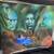 50s-70s signed gouache paintings 7 thumbnail