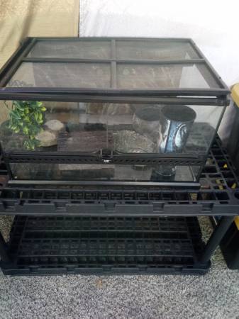 Bird cage and chameleon cage (Av)63829968297345121