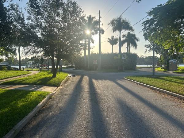$800 / 4br - Share my 4 bedroom home in St. Pete (St. Petersburg)63991085463810120