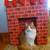 Vintage Christmas Fireplace - Cardboard and Paper Brick 1 thumbnail