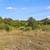 Gated Lot w/ Water & Electric - Canyons at Scenic Loop - $159,000 9 thumbnail