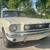 1966 Ford Mustang Fastback 2+2 GT 9 thumbnail
