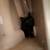Kitten 2 thumbnail