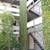 Facebook Intel Bike to Google Tennis Views Adj/lovely Park pv1 10 thumbnail