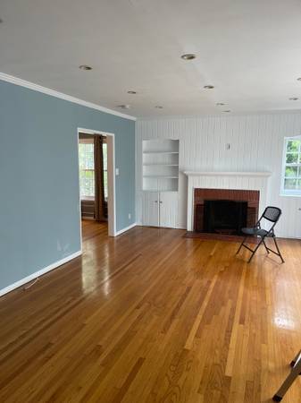 PROFESSIONAL PAINTER - PAINTING 1