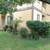 1 Bedroom 1 Bathroom Apartment in Mira Mesa 19 thumbnail