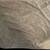 Hotel Collection Oversize Towel 100% Cotton 1 thumbnail