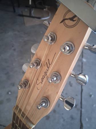 SEAGULL sg excursion nat solid. Canadian guitar 1