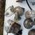 1936 chevy parts 8 thumbnail