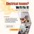 Electrical Services in Dallas/DFW 1 thumbnail