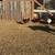 Chickens 6 thumbnail