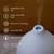 Oil Diffuser, Essential Oil Diffusers 7 thumbnail