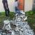 Fair Price Landscape Installation &Concrete Service &Yard Maintenance 21 thumbnail