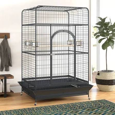 Bird Cage and Bird Feeder 1