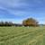 Land for Sale - 2 acres 2 thumbnail