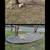 Landscaping & Lawn Care (rock, mulch, sod, plants, trees, aeration, mowing, etc) 4 thumbnail