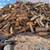 Firewood for Sale (We Deliver) 1 thumbnail