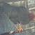 3 roosters 2 thumbnail