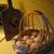 Farm Fresh Eggs 1 thumbnail