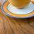 Botanic Garden Teapot Stand, Teacup & Saucer, Las Vegas Mug with Spoon 12 thumbnail